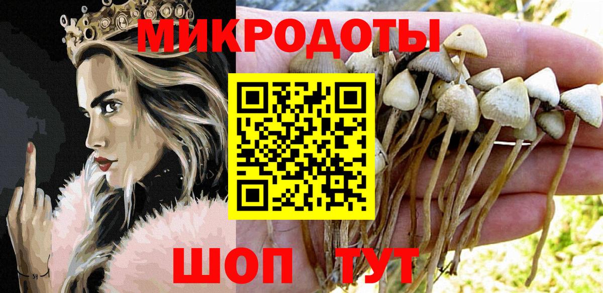 Галлюциногенные грибы ЛСД  Вход с VPN  цена наркотик  Гусиноозёрск 